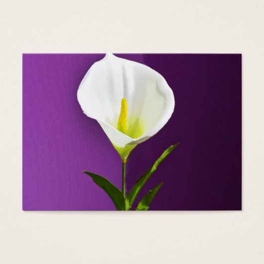 Calla Lilly (Front)