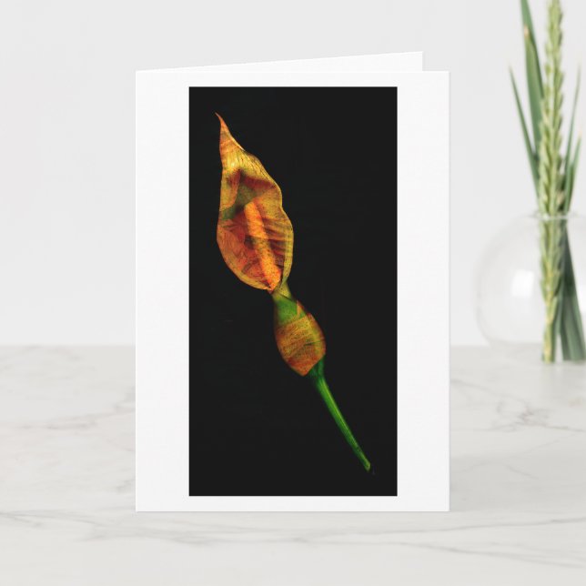 Calla Lilly Card (Front)