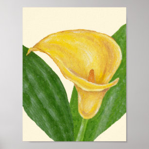 Calla Lily art print