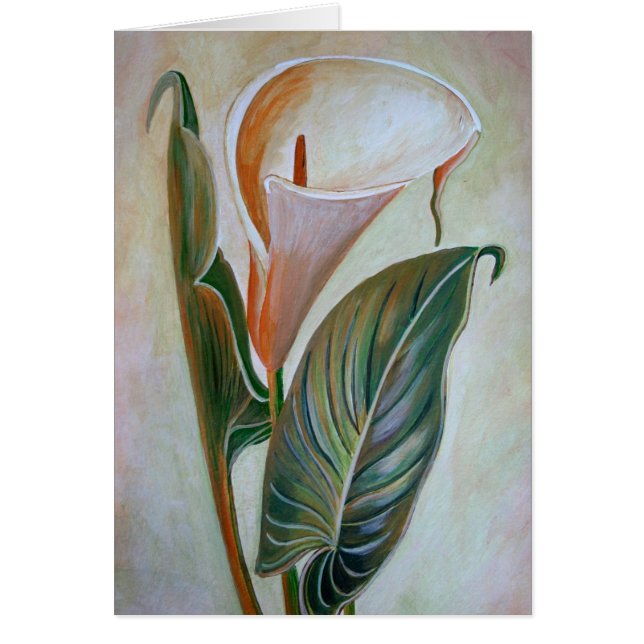 Calla Lily Beautiful Botanical Art Cards (Front)