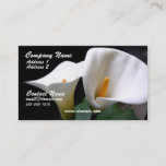 Calla Lily Business Card