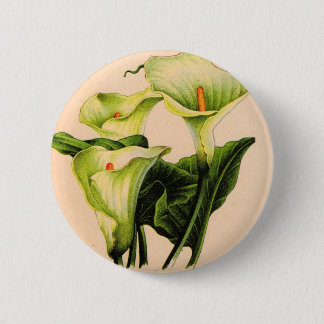 calla lily calla lilies button