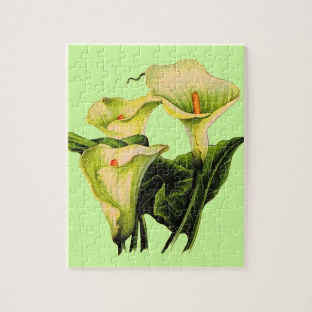 calla lily calla lilies jigsaw puzzle (Vertical)