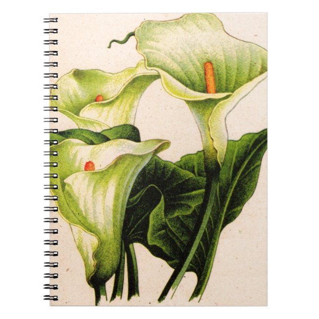 calla lily calla lilies notebook (Front)