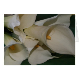 Calla Lily Cards
