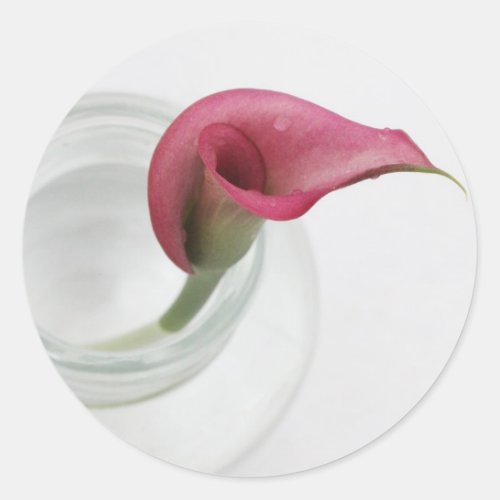 Calla Lily Classic Round Sticker