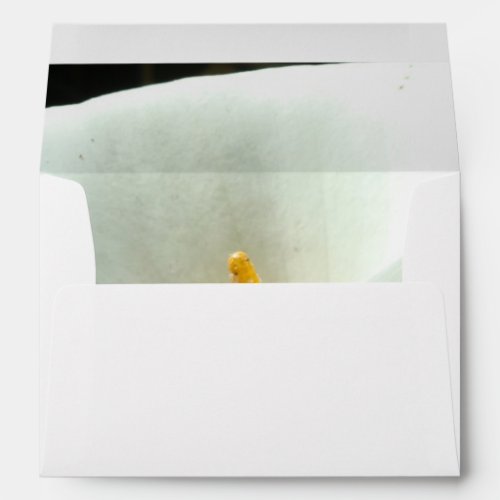 Calla Lily Envelope