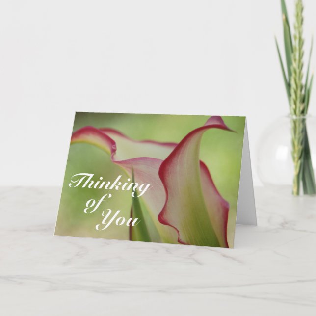Calla Lily Greeting Card (Front)