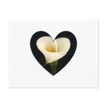 Calla Lily Heart Postcard