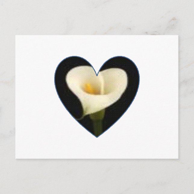 Calla Lily Heart Postcard (Front)