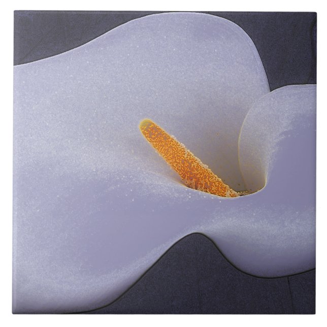 Calla Lily Illustration Collectible Ceramic Tiles (Front)