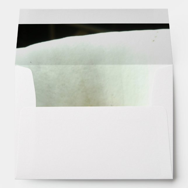 Calla Lily in Black Envelope (Back (Bottom))