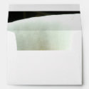 Calla Lily in Black Envelope