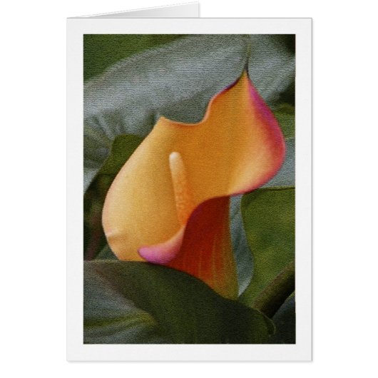 Calla Lily Jungle Cards (Front)