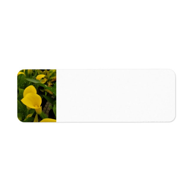 Calla lily label (Front)
