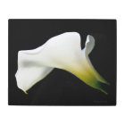 Calla Lily