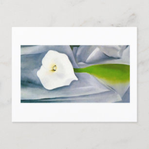 Calla Lily on Grey, Georgia O'Keeffe Postcard