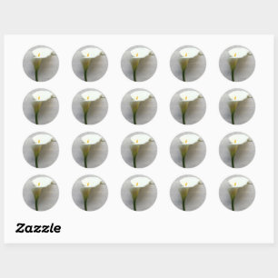 Calla lily on old handwriting classic round sticker