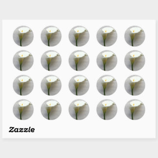 Calla lily on old handwriting classic round sticker