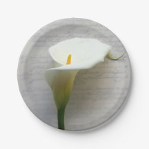 Calla lily on old script