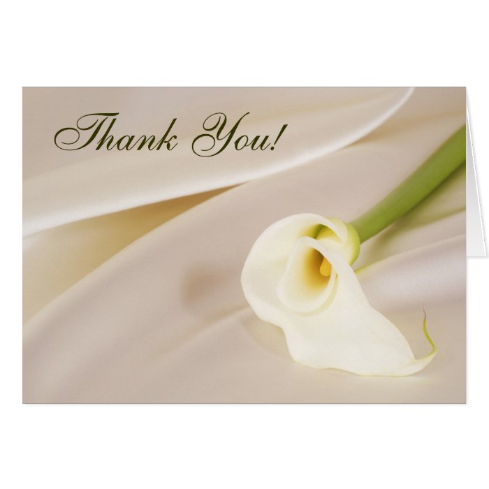 Calla Lily On White Satin, Thank You Greeting Cards