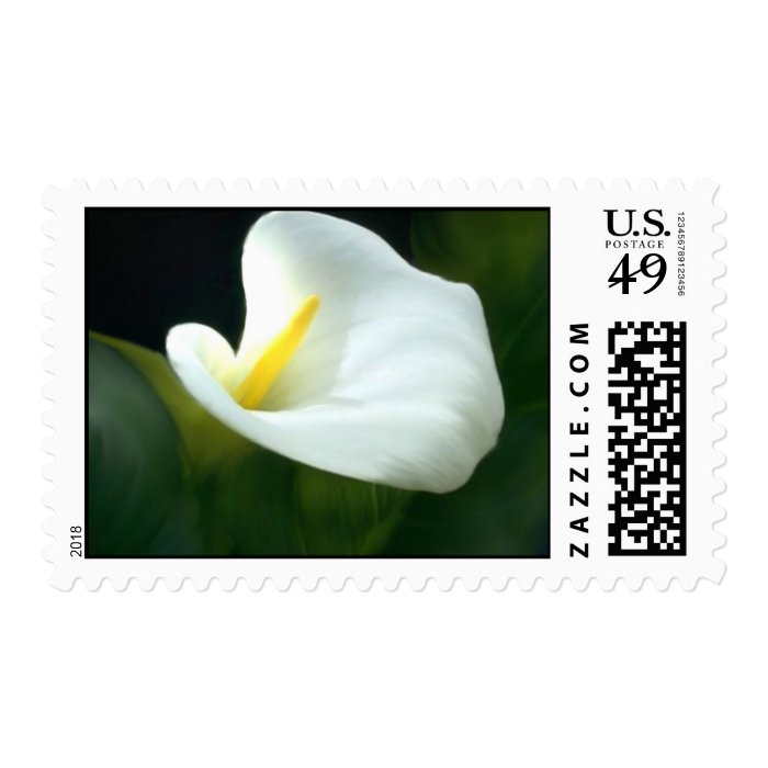 Calla Lily Postage