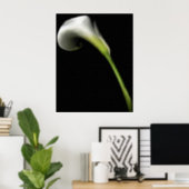 Calla Lily Prints (Home Office)