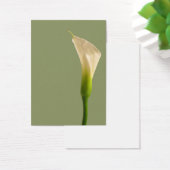 Calla lily Sage Green Card (Desk)