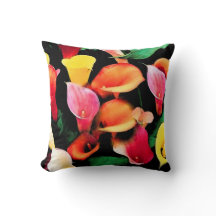 Calla Lily