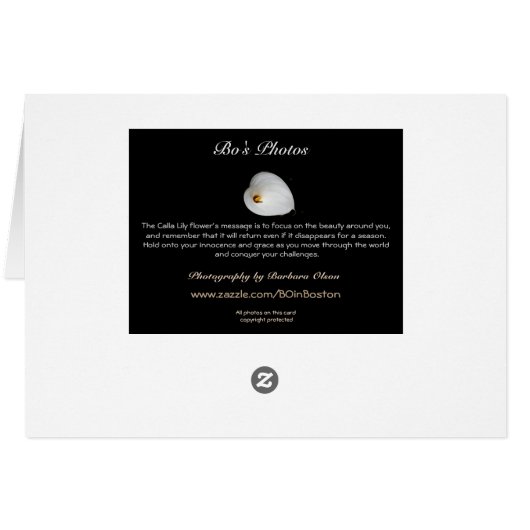 Calla Lily--with grace and style*: (Back Horizontal)