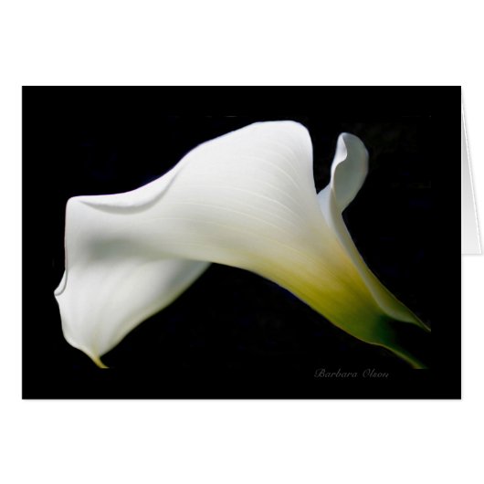 Calla Lily--with grace and style*: Cards (Front Horizontal)