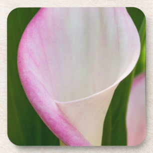 Calla Pano Beverage Coaster