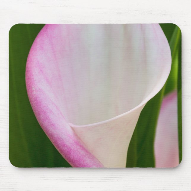 Calla Pano Mouse Pad (Front)