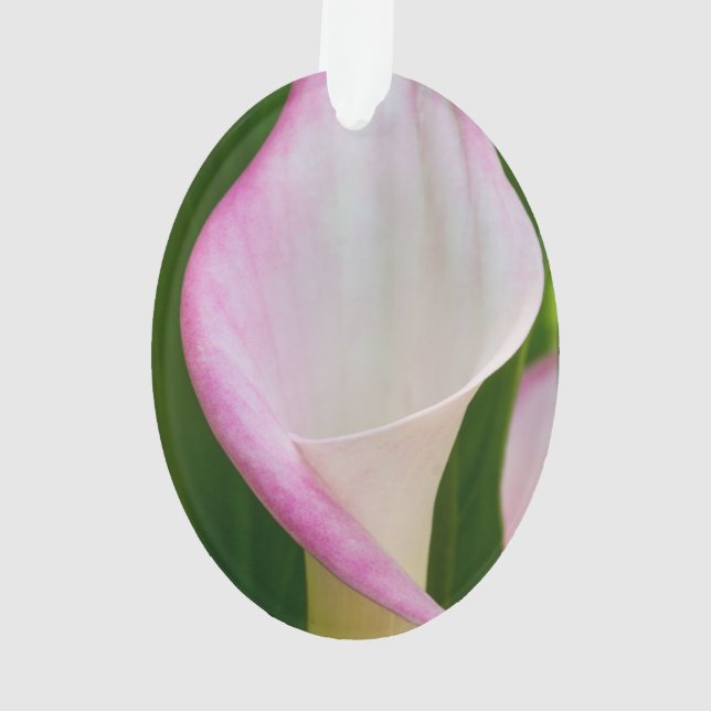 Calla Pano Ornament (Back)
