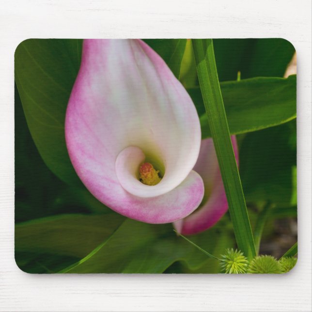 Calla Roll Mouse Pad (Front)