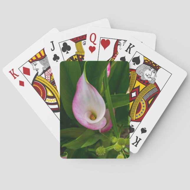 Calla Roll Poker Cards (Back)