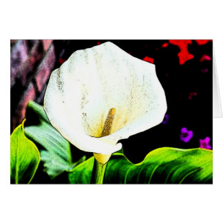 Calla Sideways Cards
