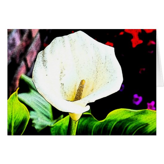 Calla Sideways Cards (Front Horizontal)