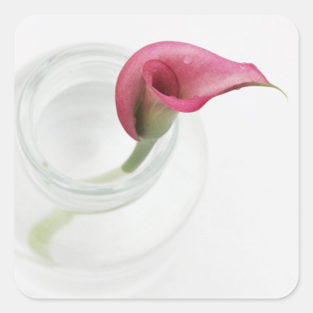 Calla Square Sticker (Front)