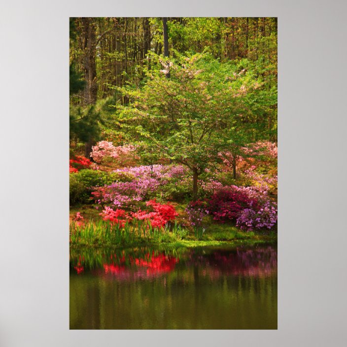 Callaway Landscape Poster