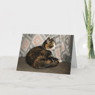 Callie Cat on Sofa Card