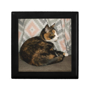 Callie Cat on Sofa Gift Box