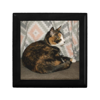 Callie Cat on Sofa Gift Box