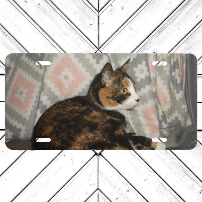 Callie Cat on Sofa License Plate (Callie Cat on Sofa License Plate on Garage Door)