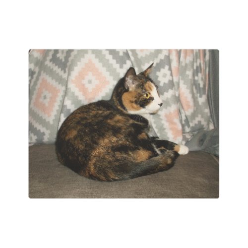 Callie Cat on Sofa Metal Print