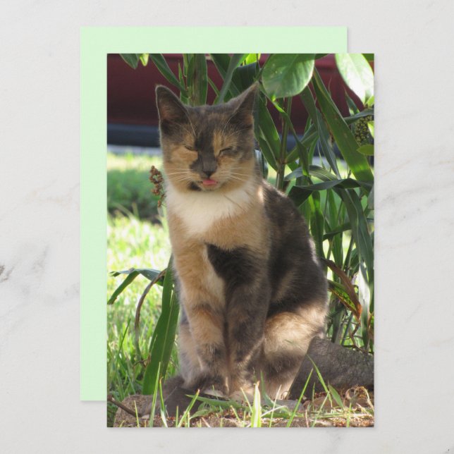 Callie Muffin the Silly Stray Cat Flat Card (Front/Back)