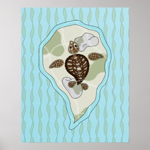 Callie the Sea Turtle Poster