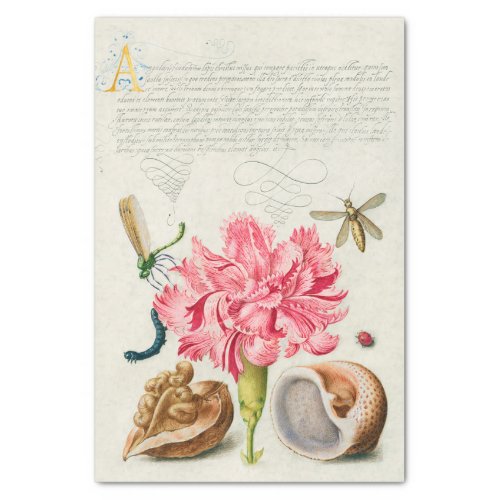 Calligraphy Carnation Insects  Marine Mollusk  Tissue Paper