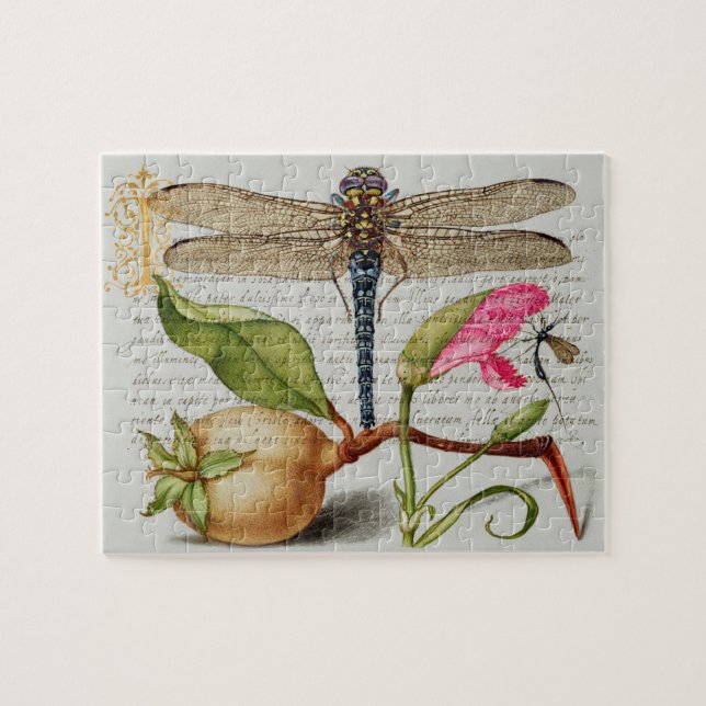 Calligraphy (Dragonfly, Carnation & Pear)   Jigsaw Puzzle (Horizontal)