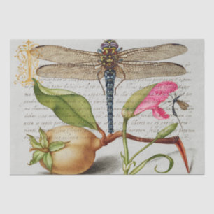 Calligraphy (Dragonfly, Carnation & Pear) Tissue Paper